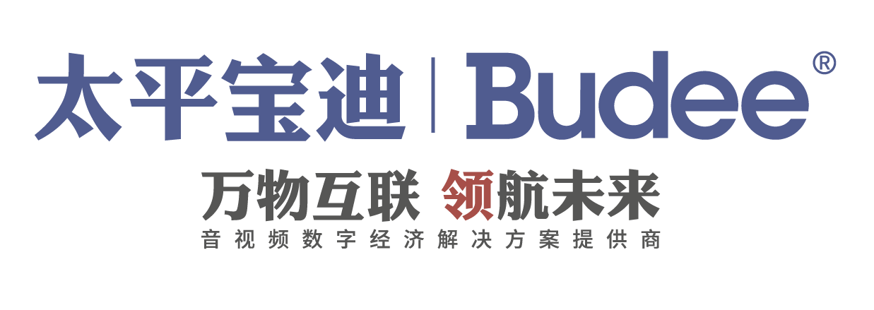 太平宝迪领航智联LOGO_原